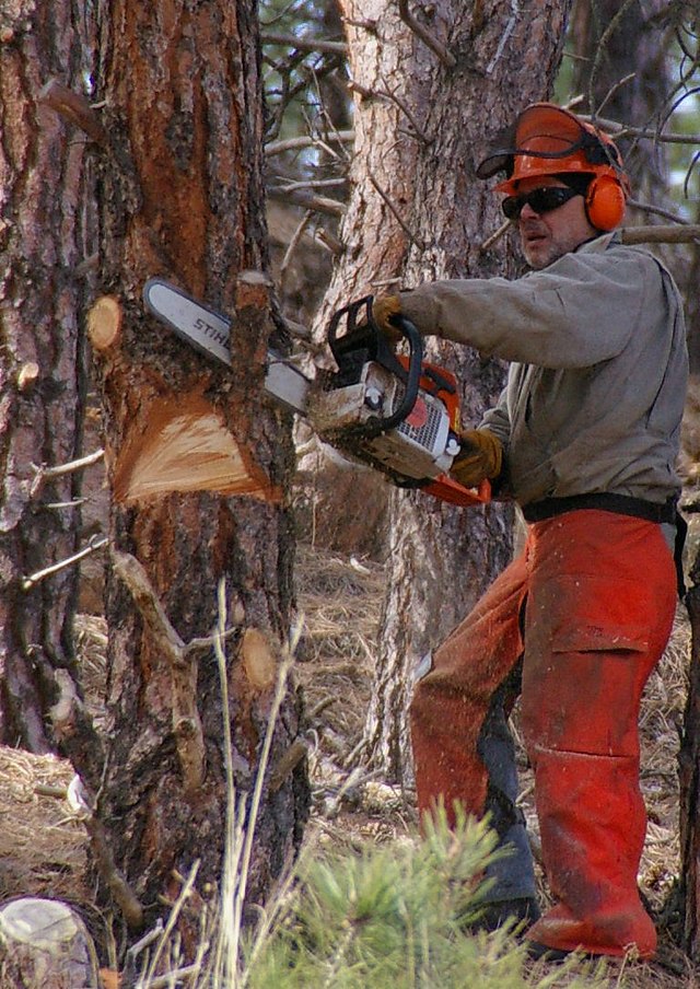 How Often Should A Chainsaw Blade Be Sharpened